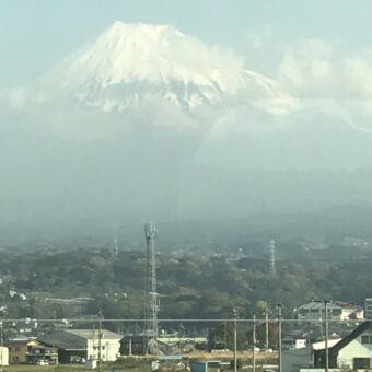 鍼灸の勉強会