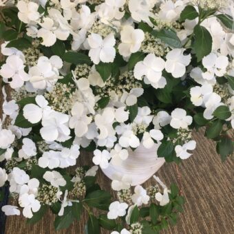 突発性難聴は治りますか