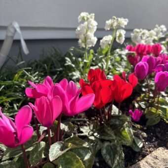 子供の心を思いやる