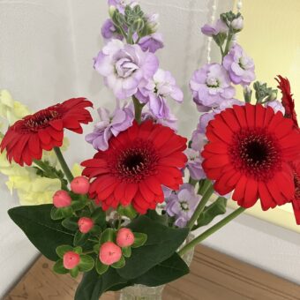 ひ孫さんからご紹介