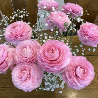 月曜日は美容師さんの来院が多いです🌷